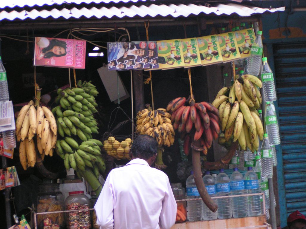 טיול שורשים להודו – חלק שני דרום הודו by מיכל בן הגיא - Illustrated by אבנר אייזיק - Ourboox.com