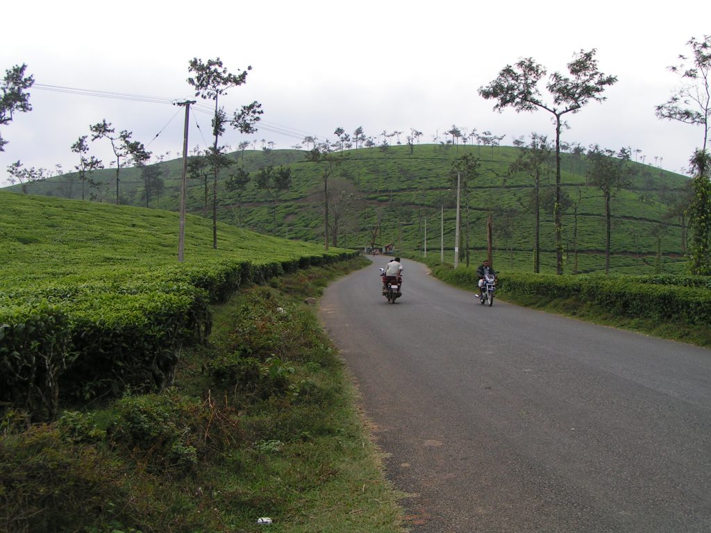 טיול שורשים להודו – חלק שני דרום הודו by מיכל בן הגיא - Illustrated by אבנר אייזיק - Ourboox.com