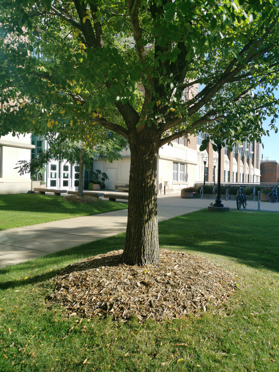 Transmigration by Andy Liu - Illustrated by Zhenyu Liu - Ourboox.com