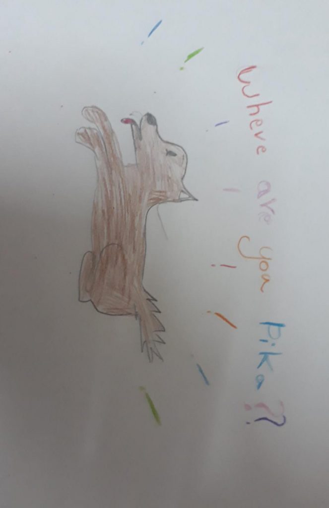 Where are you Pika? by Sama Saed - Illustrated by Sama Saeed - Ourboox.com