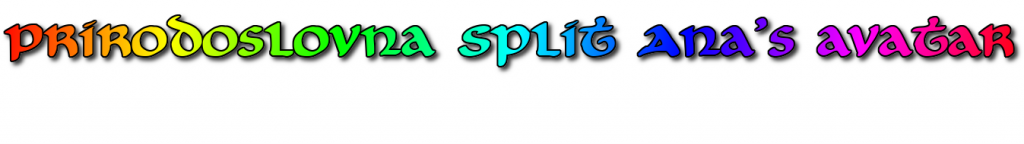 Student Avatars Lists by Teodora Tamas - Ourboox.com