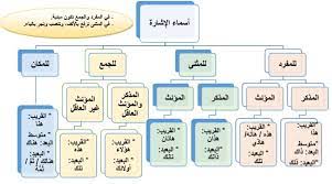 أسماء الإشارة by Rana - Illustrated by رنا ابو ربيعة، تسنيم ابو عجاج  - Ourboox.com