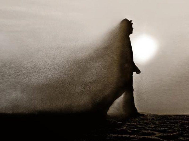 Dust in The Wind by Nicole Shemesh - Ourboox.com