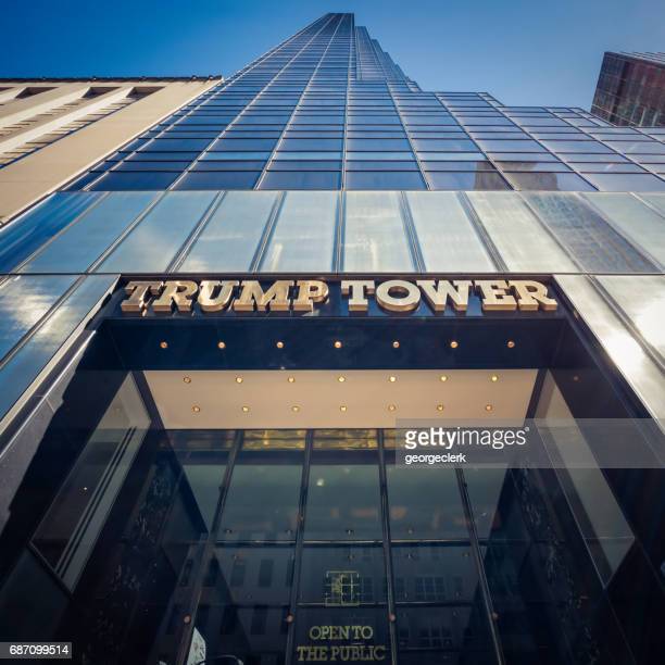 Evasione fiscale di Donald Trump by Francesca Della Corte - Illustrated by Chiara Bettella, Francesca Della Corte e Giulia Raccanello - Ourboox.com