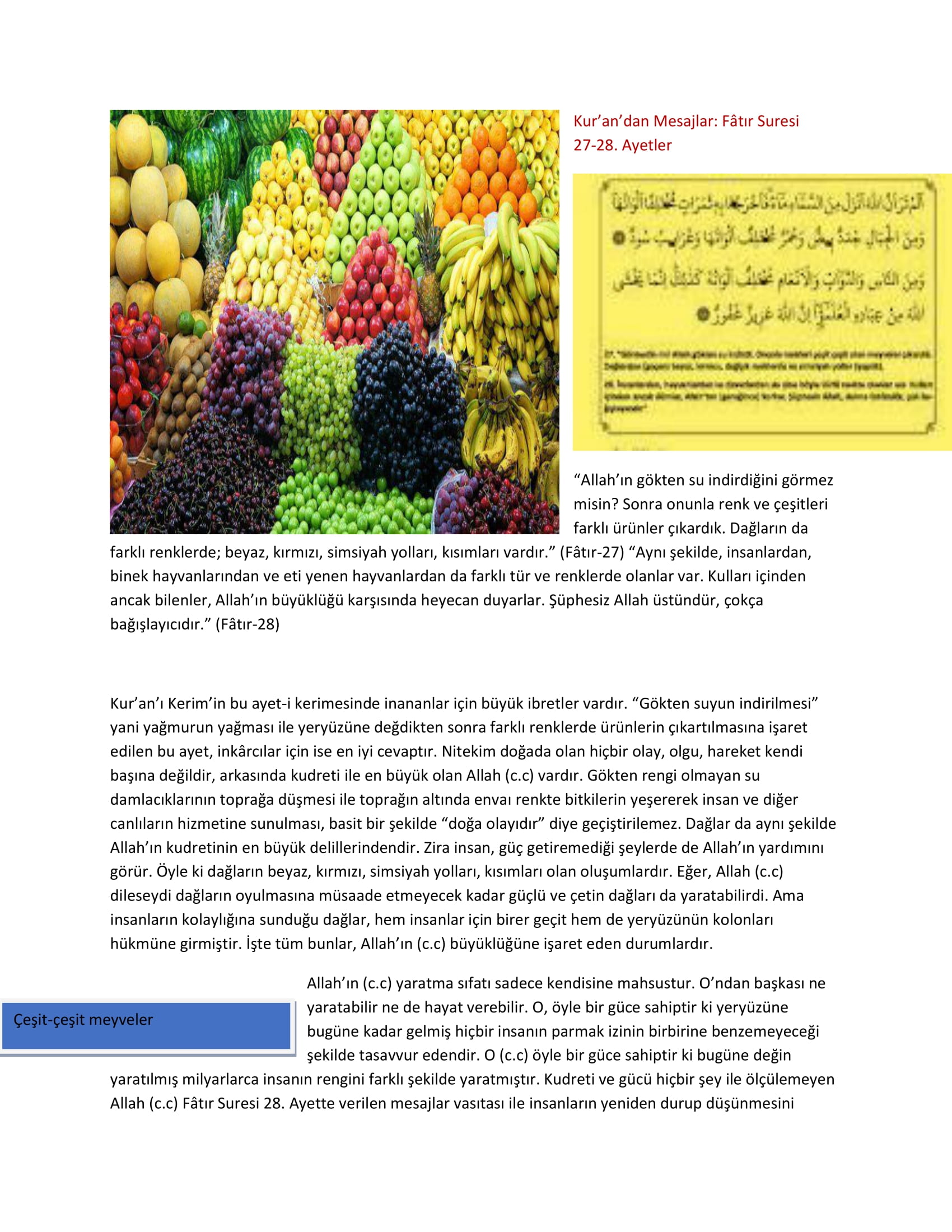 İSLAM VE BİLİM by Volkan Veli Karslı - Ourboox.com