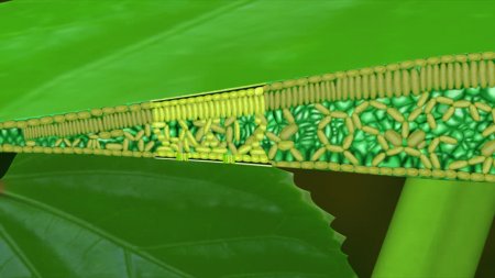 Дифузія в побуті та природі by Viktor - Ourboox.com