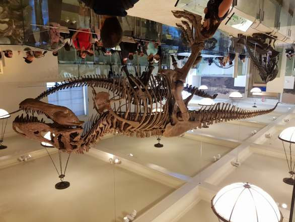 טיסה לארצות אחרות by lior michael - Ourboox.com