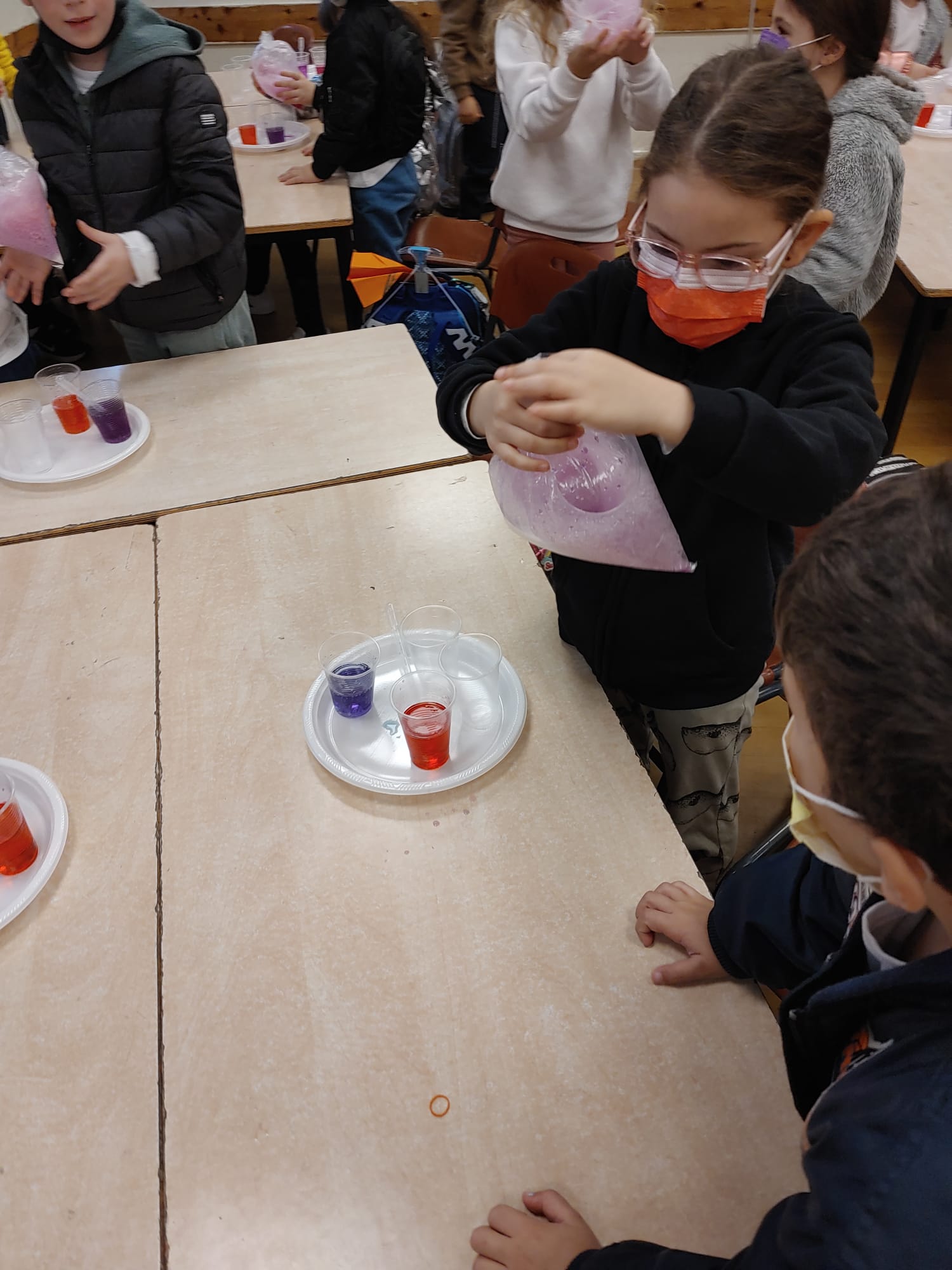 ידיעות “ארגמן”, חודש טבת, תשפ”ב by ביה"ס ארגמן - Illustrated by תמר דוד וועדת עיתון - Ourboox.com