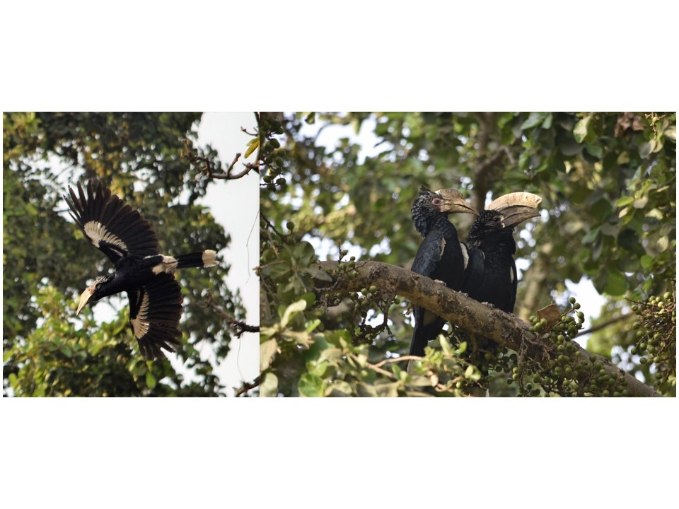 הטיול שלנו לטנזניה 2021 – חלק ראשון by מיכל בן הגיא - Illustrated by מיכל סלע ואבנר אייזיק - Ourboox.com