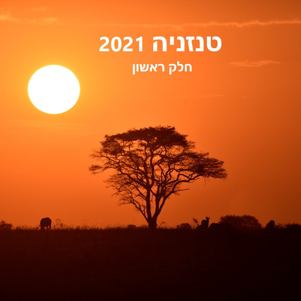 הטיול שלנו לטנזניה 2021 – חלק ראשון by מיכל בן הגיא - Illustrated by מיכל סלע ואבנר אייזיק - Ourboox.com