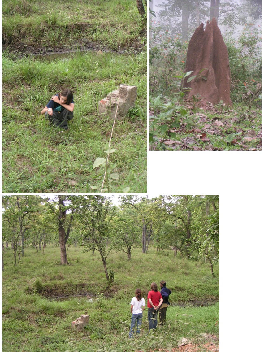 טיול שורשים להודו – חלק שני דרום הודו by מיכל בן הגיא - Illustrated by אבנר אייזיק - Ourboox.com