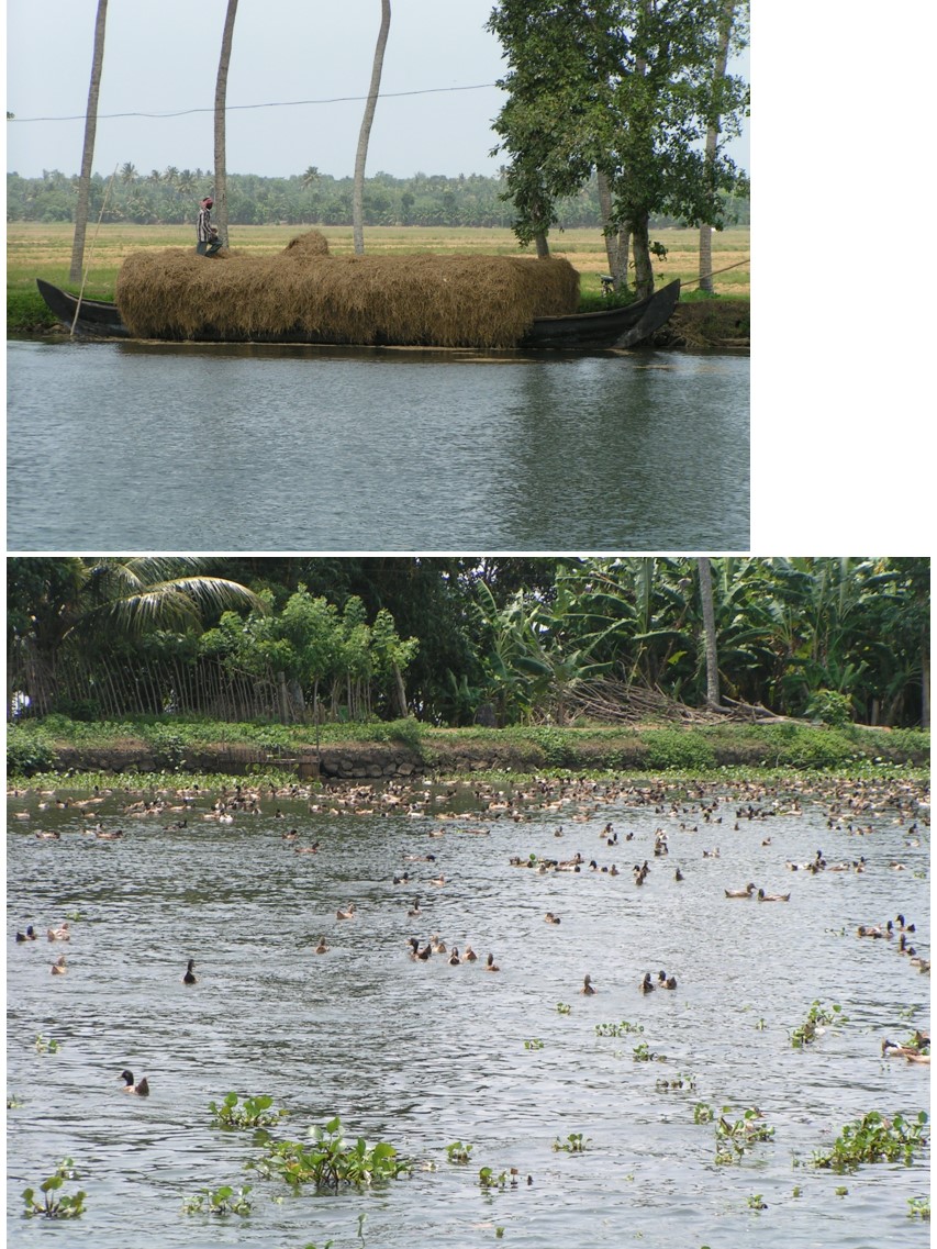 טיול שורשים להודו – חלק שני דרום הודו by מיכל בן הגיא - Illustrated by אבנר אייזיק - Ourboox.com