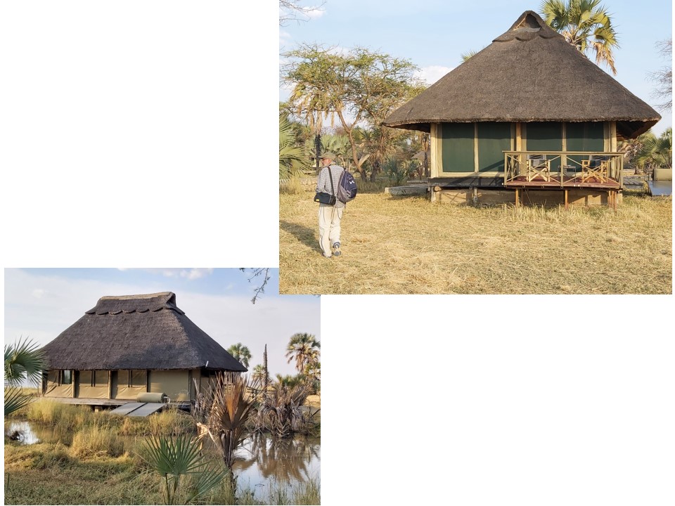 הטיול שלנו לטנזניה 2021 – חלק ראשון by מיכל בן הגיא - Illustrated by מיכל סלע ואבנר אייזיק - Ourboox.com