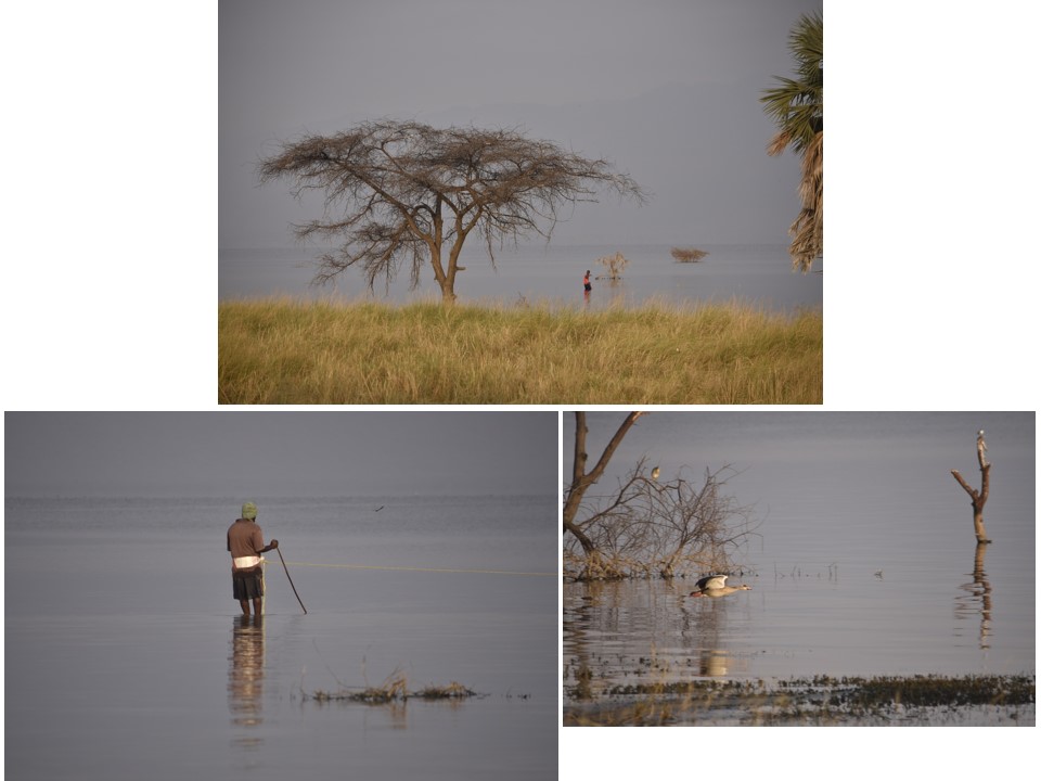 הטיול שלנו לטנזניה 2021 – חלק ראשון by מיכל בן הגיא - Illustrated by מיכל סלע ואבנר אייזיק - Ourboox.com
