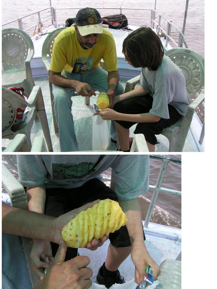 טיול שורשים להודו – חלק שני דרום הודו by מיכל בן הגיא - Illustrated by אבנר אייזיק - Ourboox.com