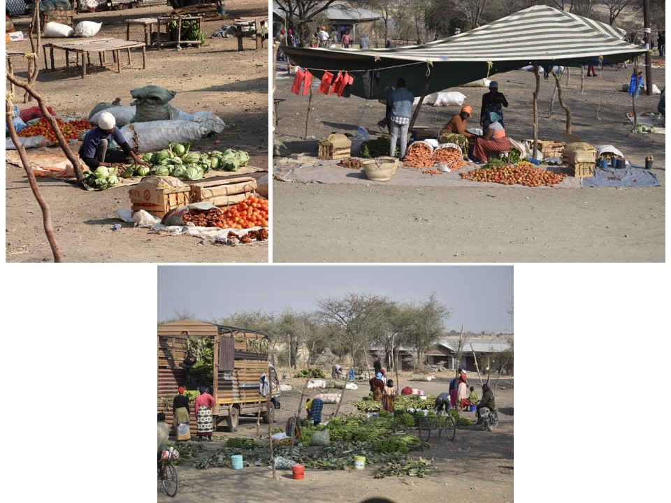 הטיול שלנו לטנזניה 2021 – חלק ראשון by מיכל בן הגיא - Illustrated by מיכל סלע ואבנר אייזיק - Ourboox.com