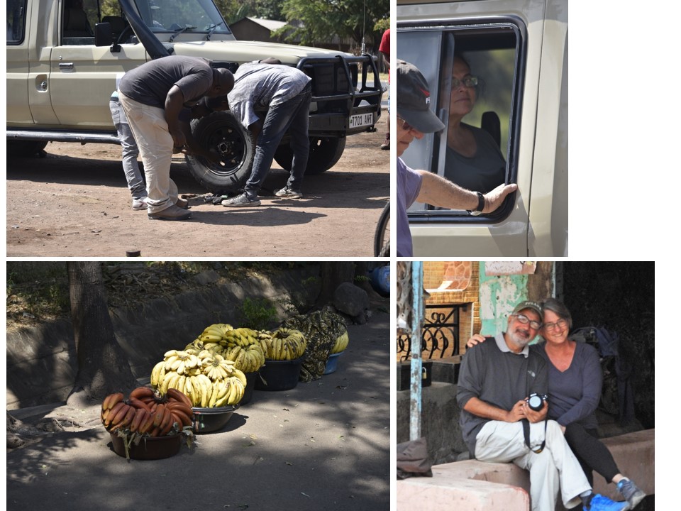 הטיול שלנו לטנזניה 2021 – חלק ראשון by מיכל בן הגיא - Illustrated by מיכל סלע ואבנר אייזיק - Ourboox.com