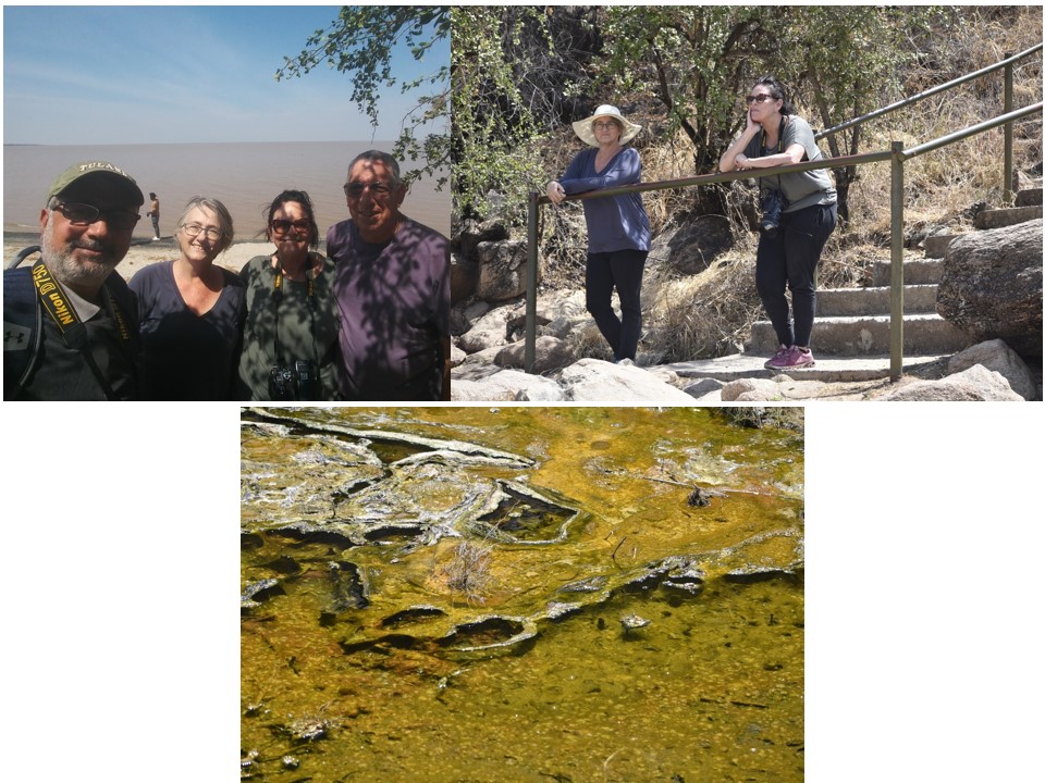 הטיול שלנו לטנזניה 2021 – חלק ראשון by מיכל בן הגיא - Illustrated by מיכל סלע ואבנר אייזיק - Ourboox.com