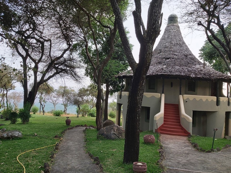 הטיול שלנו לטנזניה 2021 – חלק ראשון by מיכל בן הגיא - Illustrated by מיכל סלע ואבנר אייזיק - Ourboox.com