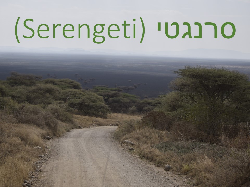 הטיול שלנו לטנזניה 2021 – חלק ראשון by מיכל בן הגיא - Illustrated by מיכל סלע ואבנר אייזיק - Ourboox.com