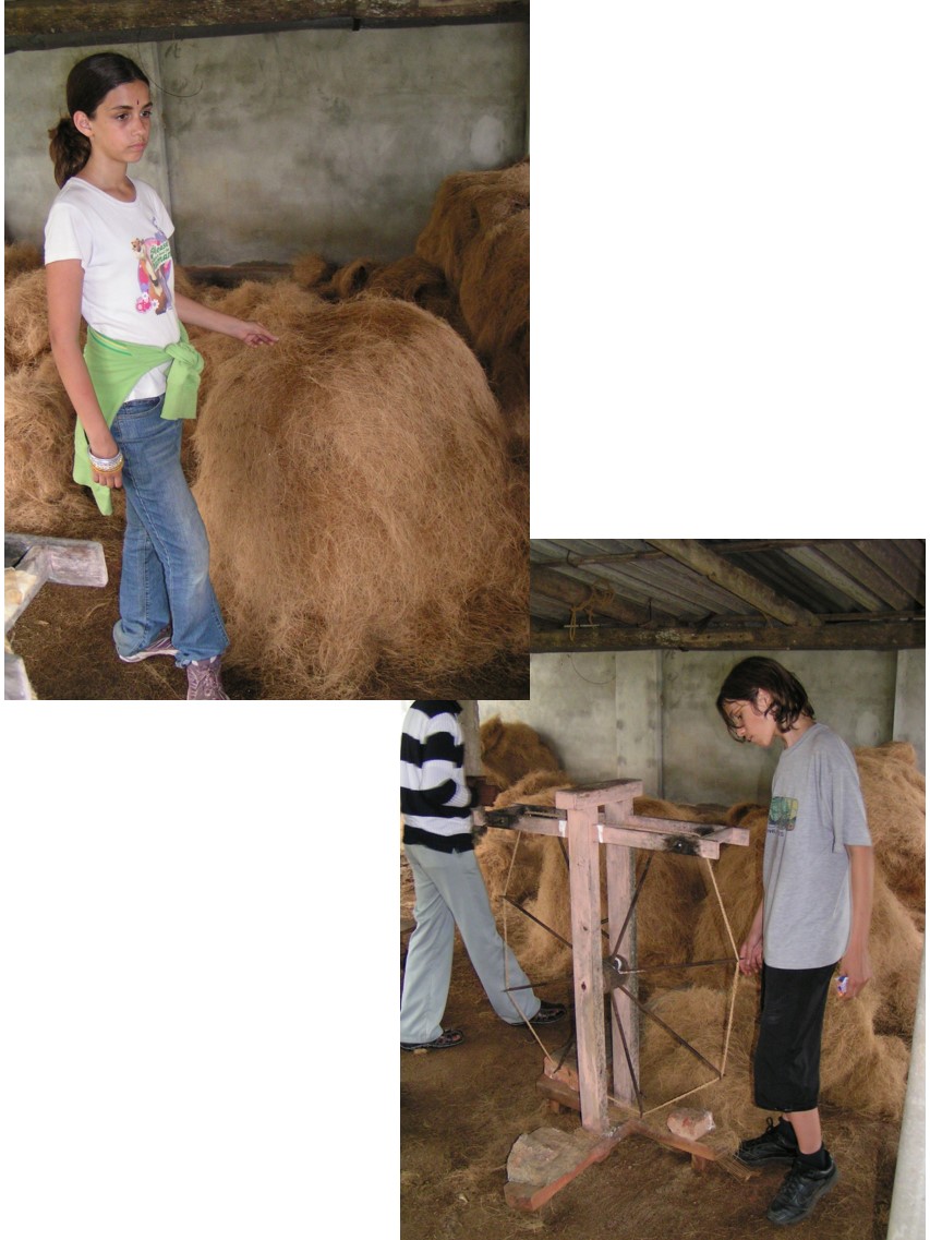 טיול שורשים להודו – חלק שני דרום הודו by מיכל בן הגיא - Illustrated by אבנר אייזיק - Ourboox.com