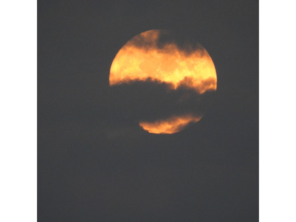 הטיול שלנו לטנזניה 2021 – חלק ראשון by מיכל בן הגיא - Illustrated by מיכל סלע ואבנר אייזיק - Ourboox.com