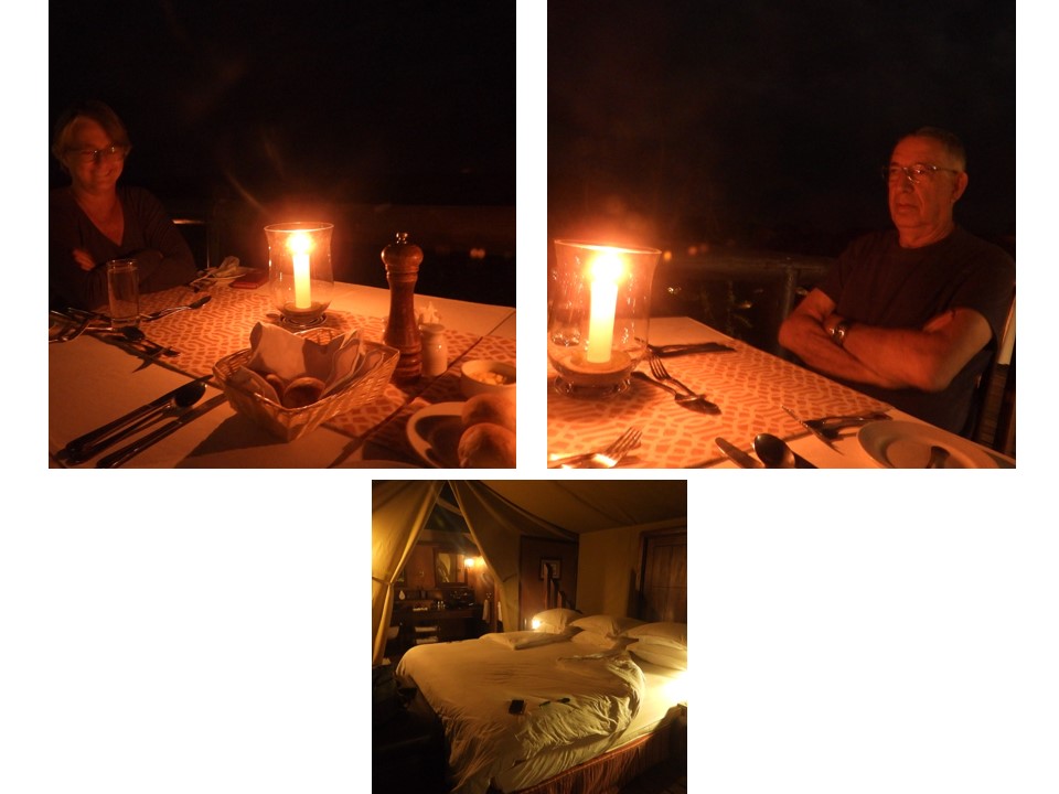 הטיול שלנו לטנזניה 2021 – חלק ראשון by מיכל בן הגיא - Illustrated by מיכל סלע ואבנר אייזיק - Ourboox.com