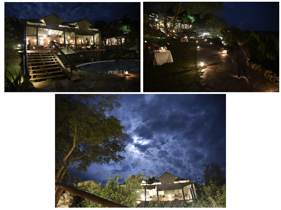 הטיול שלנו לטנזניה 2021 – חלק ראשון by מיכל בן הגיא - Illustrated by מיכל סלע ואבנר אייזיק - Ourboox.com