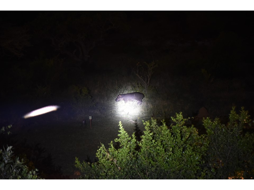 הטיול שלנו לטנזניה 2021 – חלק ראשון by מיכל בן הגיא - Illustrated by מיכל סלע ואבנר אייזיק - Ourboox.com