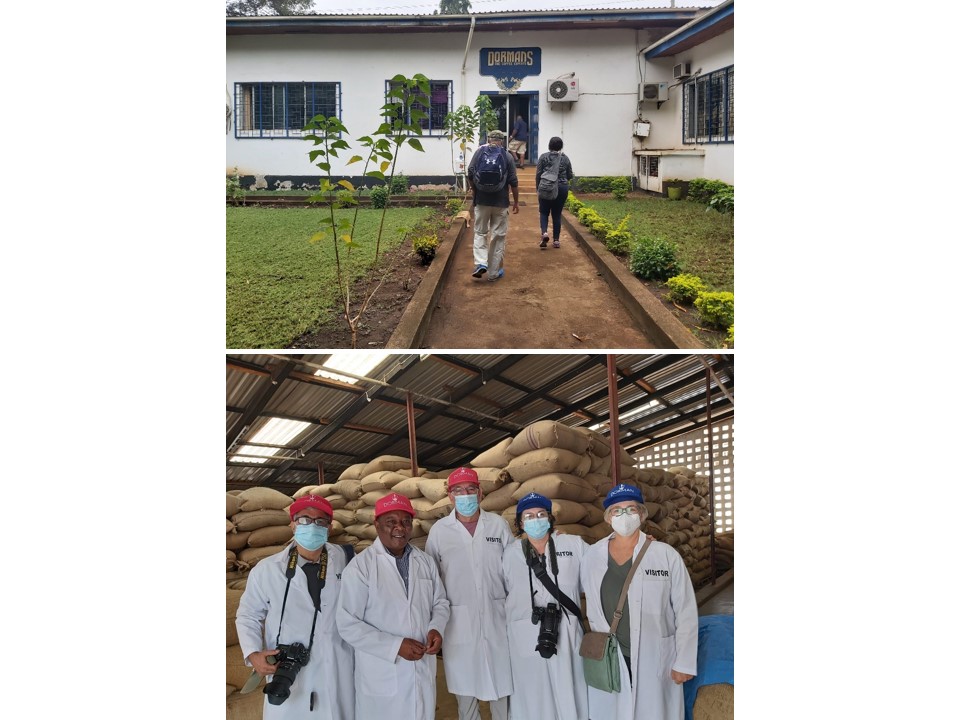 הטיול שלנו לטנזניה 2021 – חלק ראשון by מיכל בן הגיא - Illustrated by מיכל סלע ואבנר אייזיק - Ourboox.com