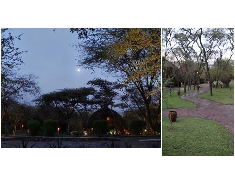 הטיול שלנו לטנזניה 2021 – חלק ראשון by מיכל בן הגיא - Illustrated by מיכל סלע ואבנר אייזיק - Ourboox.com