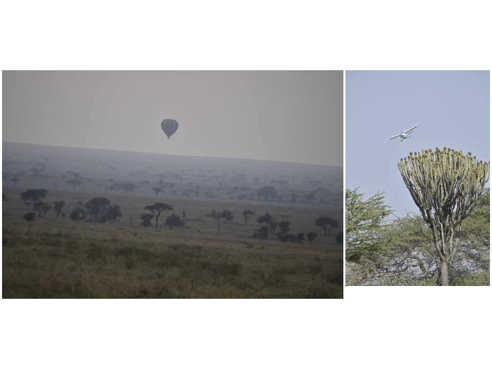 הטיול שלנו לטנזניה 2021 – חלק ראשון by מיכל בן הגיא - Illustrated by מיכל סלע ואבנר אייזיק - Ourboox.com