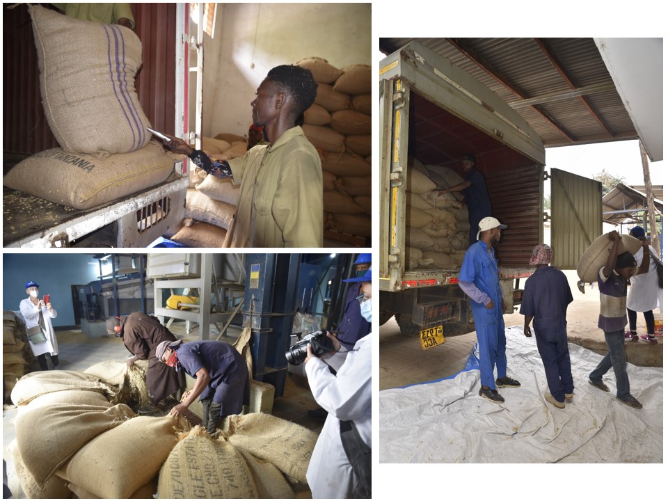 הטיול שלנו לטנזניה 2021 – חלק ראשון by מיכל בן הגיא - Illustrated by מיכל סלע ואבנר אייזיק - Ourboox.com