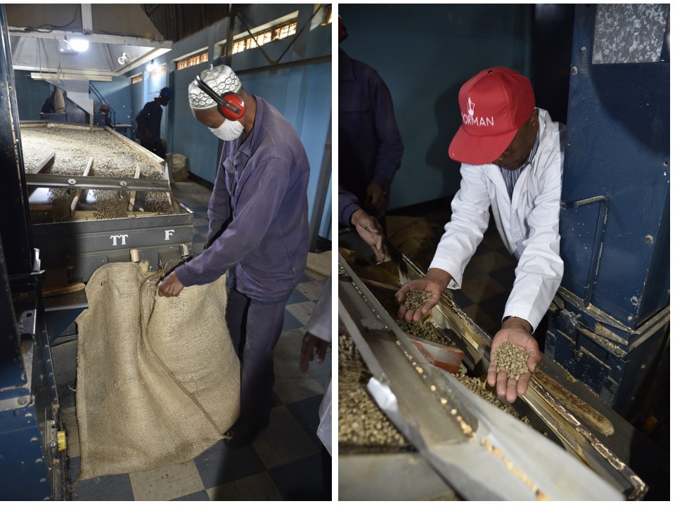 הטיול שלנו לטנזניה 2021 – חלק ראשון by מיכל בן הגיא - Illustrated by מיכל סלע ואבנר אייזיק - Ourboox.com