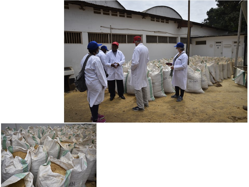 הטיול שלנו לטנזניה 2021 – חלק ראשון by מיכל בן הגיא - Illustrated by מיכל סלע ואבנר אייזיק - Ourboox.com