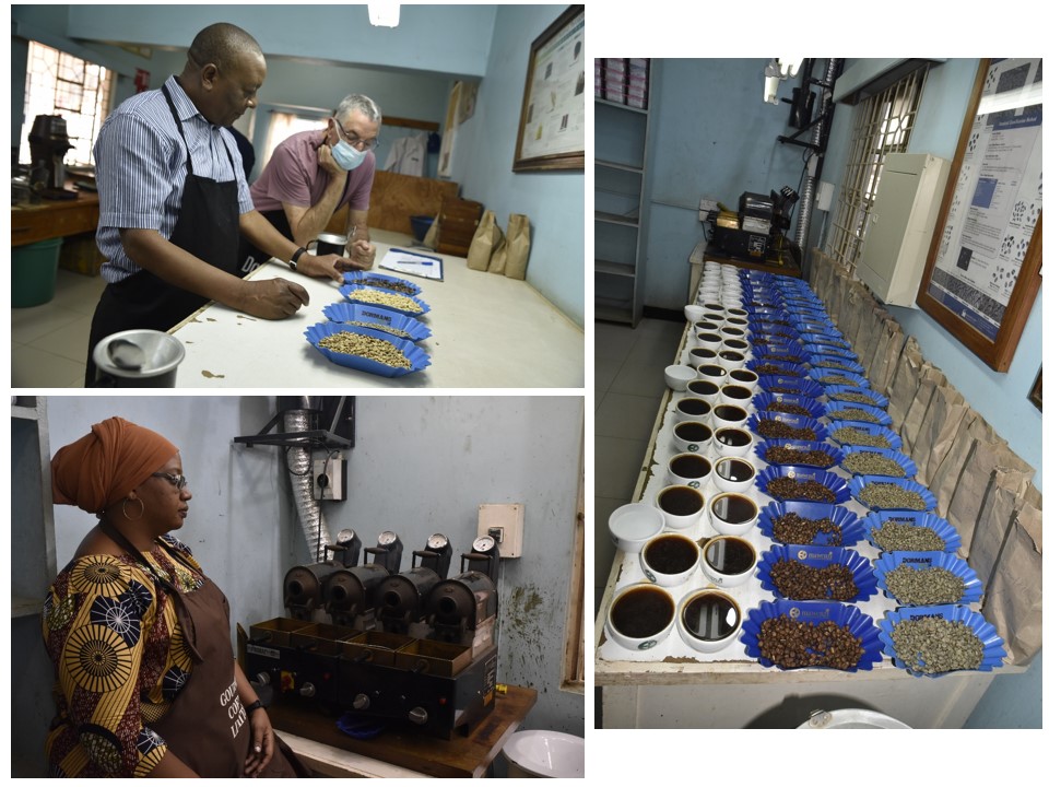 הטיול שלנו לטנזניה 2021 – חלק ראשון by מיכל בן הגיא - Illustrated by מיכל סלע ואבנר אייזיק - Ourboox.com