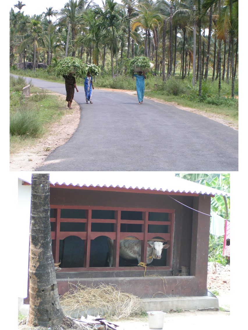 טיול שורשים להודו – חלק שני דרום הודו by מיכל בן הגיא - Illustrated by אבנר אייזיק - Ourboox.com