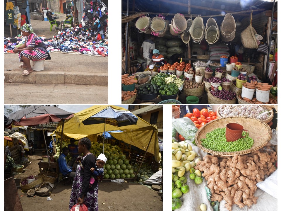 הטיול שלנו לטנזניה 2021 – חלק ראשון by מיכל בן הגיא - Illustrated by מיכל סלע ואבנר אייזיק - Ourboox.com