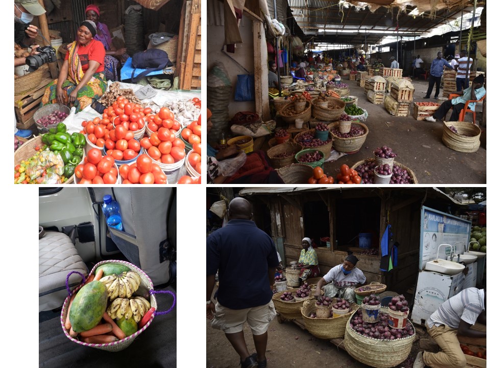 הטיול שלנו לטנזניה 2021 – חלק ראשון by מיכל בן הגיא - Illustrated by מיכל סלע ואבנר אייזיק - Ourboox.com