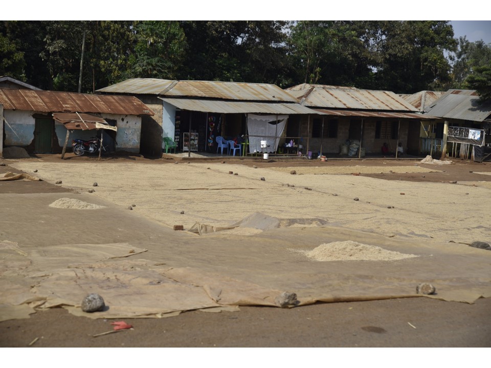 הטיול שלנו לטנזניה 2021 – חלק ראשון by מיכל בן הגיא - Illustrated by מיכל סלע ואבנר אייזיק - Ourboox.com