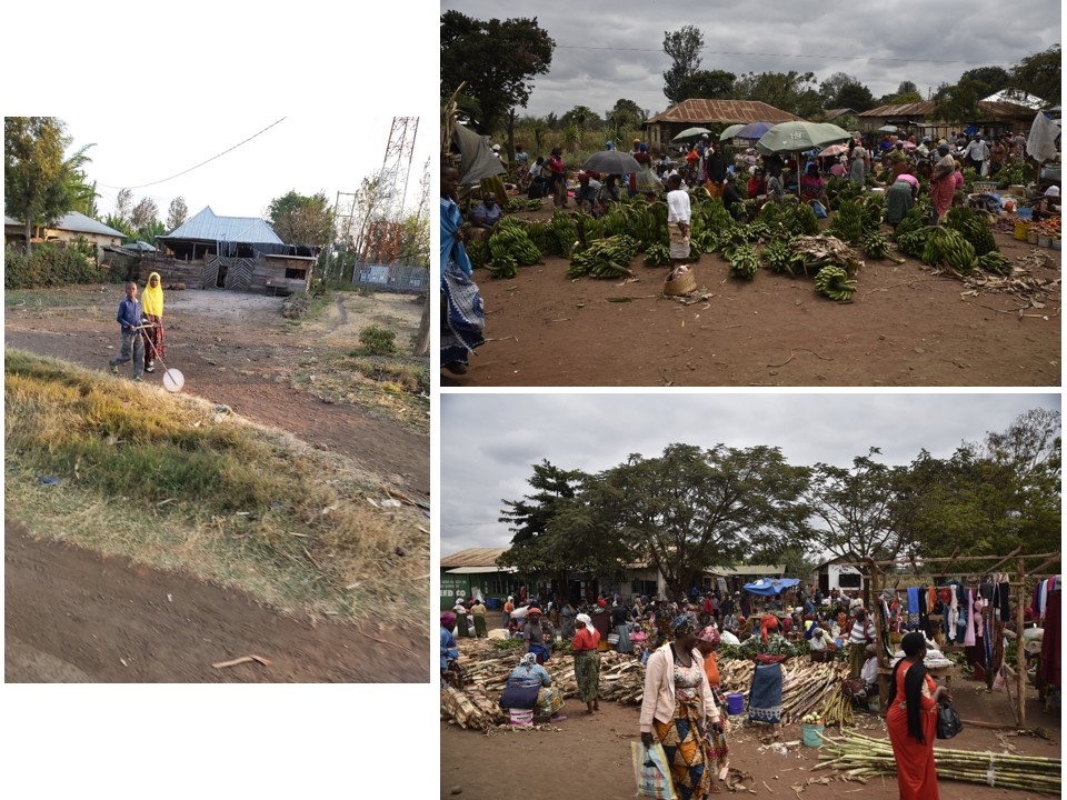 הטיול שלנו לטנזניה 2021 – חלק ראשון by מיכל בן הגיא - Illustrated by מיכל סלע ואבנר אייזיק - Ourboox.com