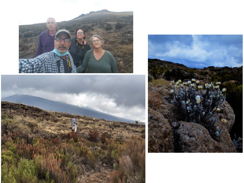 הטיול שלנו לטנזניה 2021 – חלק ראשון by מיכל בן הגיא - Illustrated by מיכל סלע ואבנר אייזיק - Ourboox.com