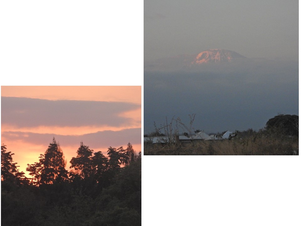 הטיול שלנו לטנזניה 2021 – חלק ראשון by מיכל בן הגיא - Illustrated by מיכל סלע ואבנר אייזיק - Ourboox.com