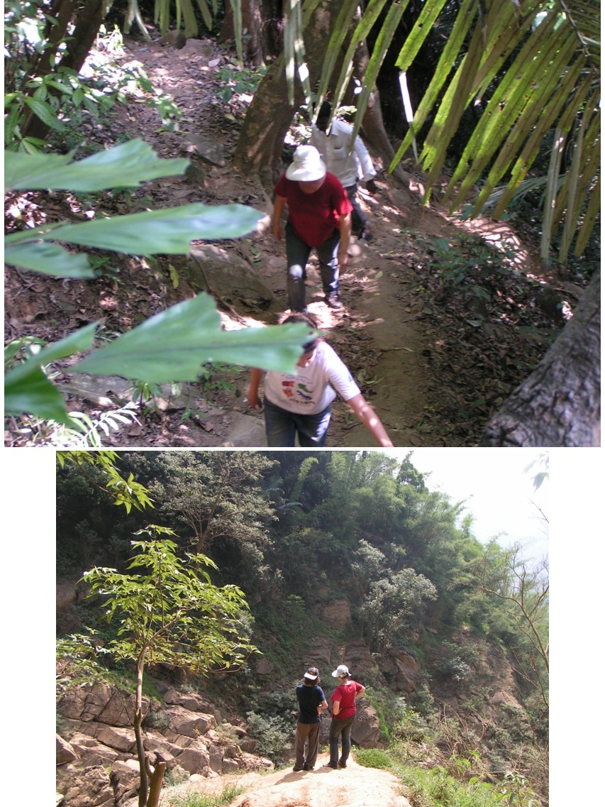 טיול שורשים להודו – חלק שני דרום הודו by מיכל בן הגיא - Illustrated by אבנר אייזיק - Ourboox.com