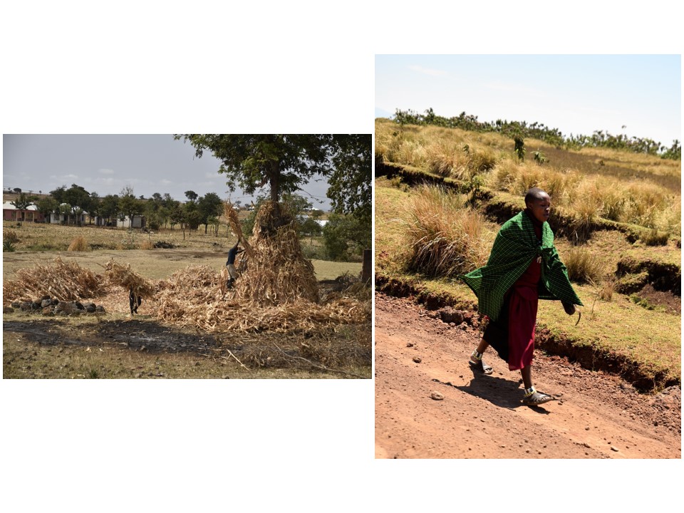הטיול שלנו לטנזניה 2021 – חלק ראשון by מיכל בן הגיא - Illustrated by מיכל סלע ואבנר אייזיק - Ourboox.com