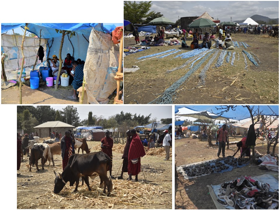 הטיול שלנו לטנזניה 2021 – חלק ראשון by מיכל בן הגיא - Illustrated by מיכל סלע ואבנר אייזיק - Ourboox.com