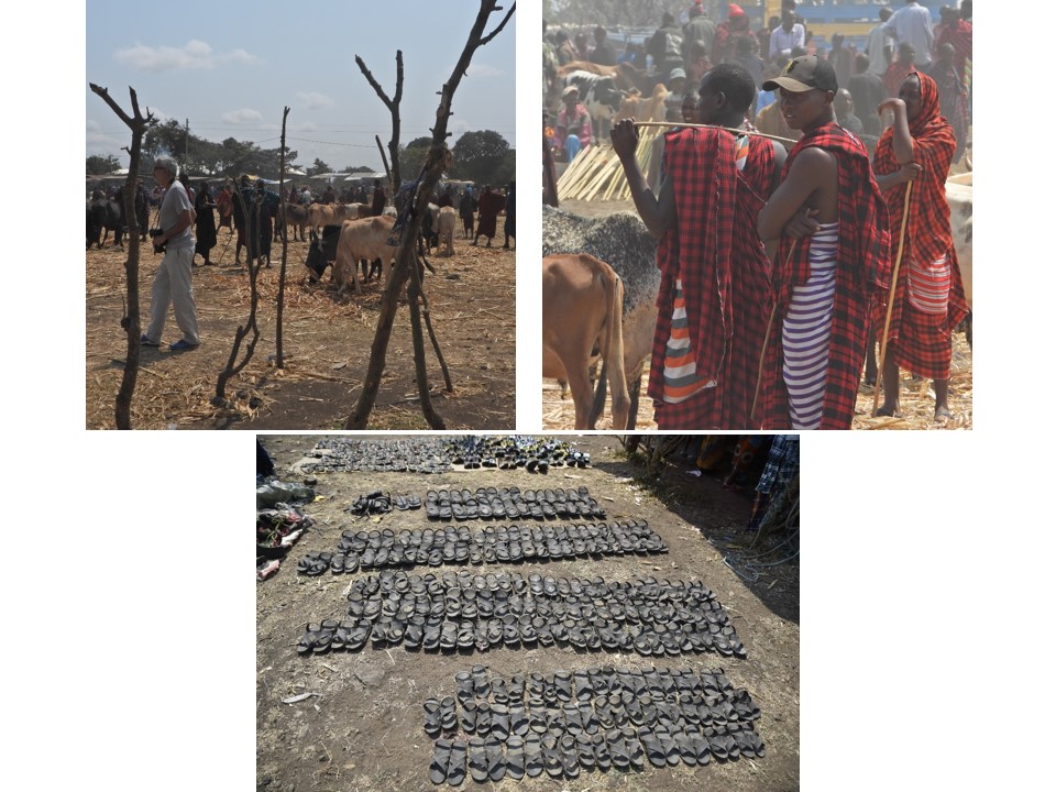 הטיול שלנו לטנזניה 2021 – חלק ראשון by מיכל בן הגיא - Illustrated by מיכל סלע ואבנר אייזיק - Ourboox.com