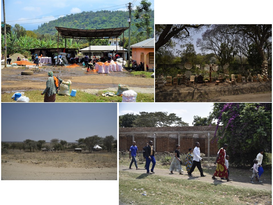 הטיול שלנו לטנזניה 2021 – חלק ראשון by מיכל בן הגיא - Illustrated by מיכל סלע ואבנר אייזיק - Ourboox.com