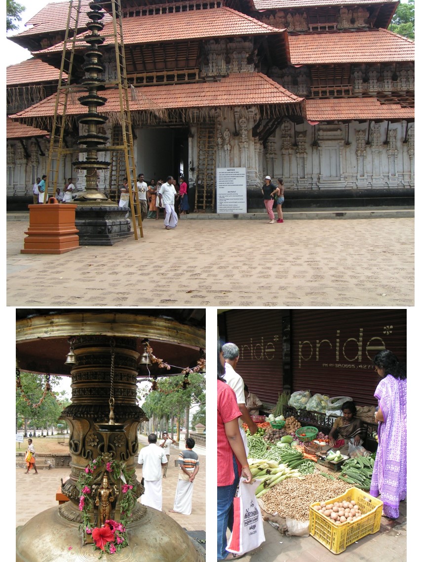 טיול שורשים להודו – חלק שני דרום הודו by מיכל בן הגיא - Illustrated by אבנר אייזיק - Ourboox.com