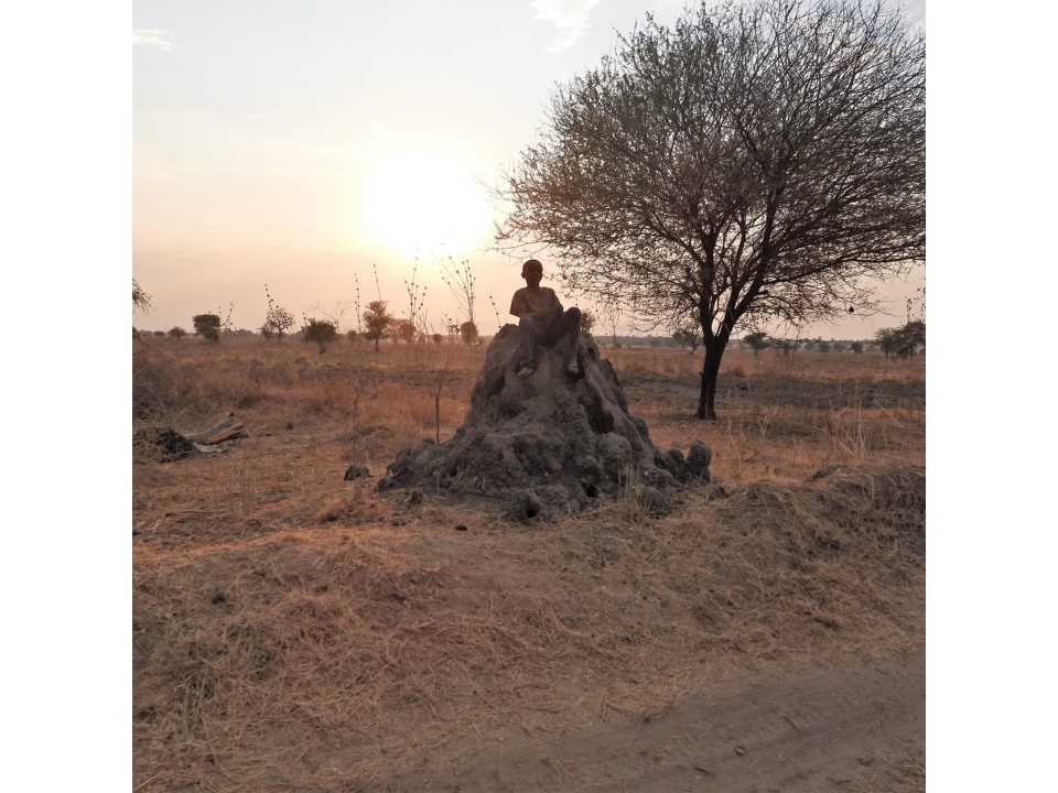 הטיול שלנו לטנזניה 2021 – חלק ראשון by מיכל בן הגיא - Illustrated by מיכל סלע ואבנר אייזיק - Ourboox.com